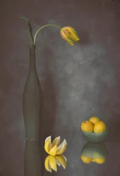 Půvabný tulipán a citrony
