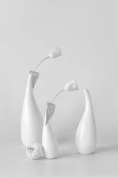 Minimalistické bílé tulipány