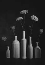 Monochromatické botanické zátiší