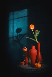 Náladové zátiší s tulipány