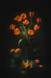Zátiší s oranžovými tulipány