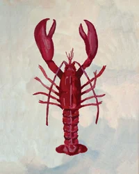 Živý Red Lobster