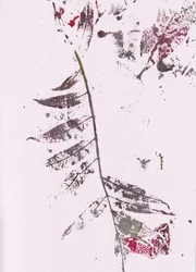 Dojmy z Dark Leaf