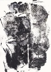 Monochromatické botanické dojmy