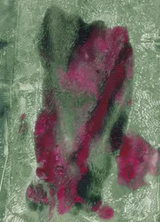 Živá magenta a zelená v abstraktním provedení