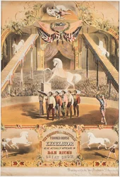 Nádherný a krásně vycvičený kůň Excelsior, kolem roku 1840 (chromolitho)