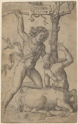 Herkules a Nessus