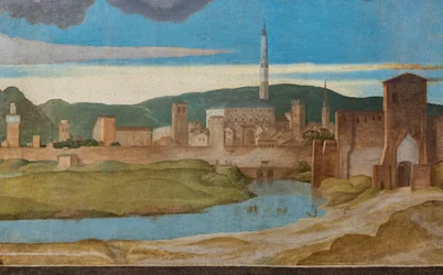 Detail města Vicenza