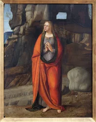 Kajícnice svatá Magdalena, obraz Marca Basaitiho (asi 1470-po 1530). Fotografie, KIM Youngtae, Lyon, Museum of Fine Arts of Lyon.