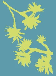 Succulent_2, 2022 (tuš na papíře)
