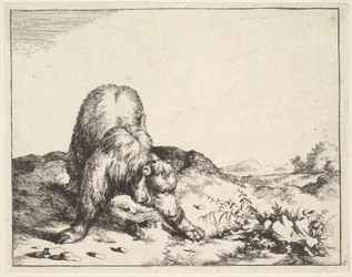 od The Set of The Bears, ca. 1664.