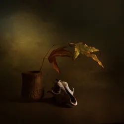 Temné podzimní zátiší