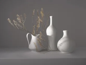Minimalistické botanické zátiší