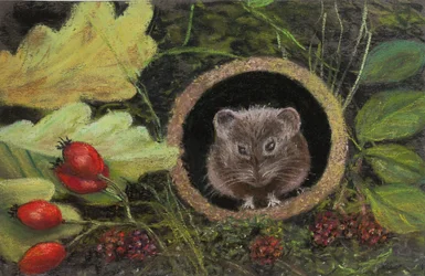 Polní myš v odtokové trubce, 2020 (pastel)