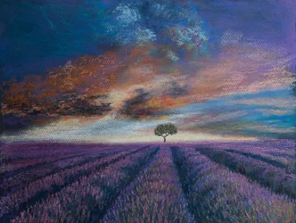 Levandulová pole v Normandii, 2020 (pastel)