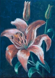Orange Lily, 2022 (pastel)