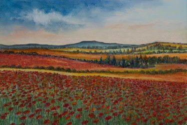 Maková pole..Flandry, 2020 (pastel)