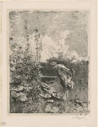 Zahradnický nadšenec