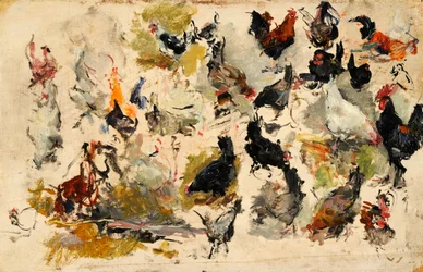 Kohoutská studie, 1869.