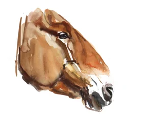 Ancient Head (Przewalski) 2012, (akvarel na papíře)