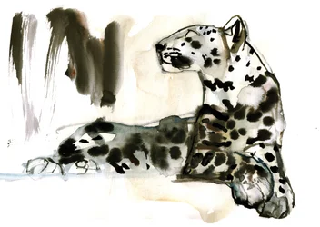 Arabský leopard, 2008