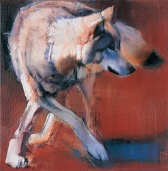 Ze Sibiře, 2001