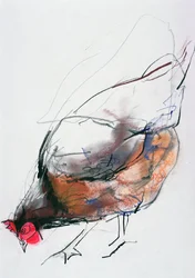Feeding Hen, Trasierra, 1998 (grafit, conte a dřevěné uhlí na papíře)