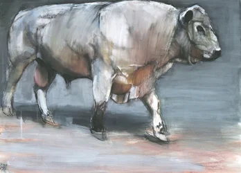 Fresno, Galloway Bull (kombinovaná média na papíře)