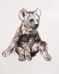 Hyaena Pup (vsedě), 2019