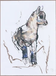 Ibex Kid (uhlí a konte na papíře)