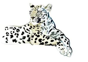 Poise, 2015, (akvarel na papíře)