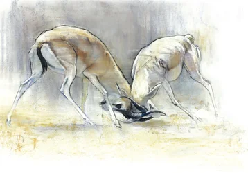 Sand Gazelles, 2009 (conte & dřevěné uhlí na papíře)