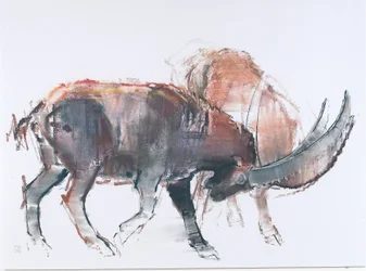 Scimitar, 2006 (charcoal and conte na papíře)