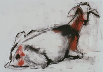 Sedící koza, 1998 (conte a dřevěné uhlí na papíře)