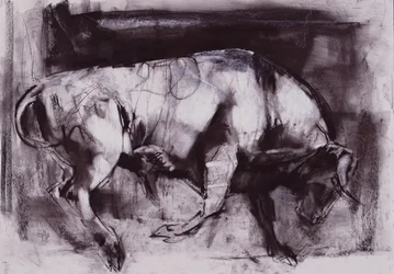 The White Bull (studie), 1998 (uhlí na papíře)