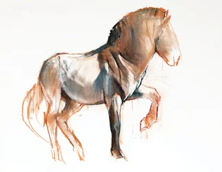 Turning (Przewalski), 2013, (pastel a uhel na papíře)