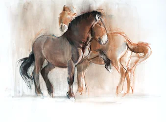 Dva (Przewalski), 2013, (pastel a dřevěné uhlí na papíře)