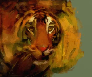 tiger