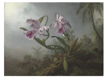 Růžové orchideje a kolibřík na větvičce, 1875