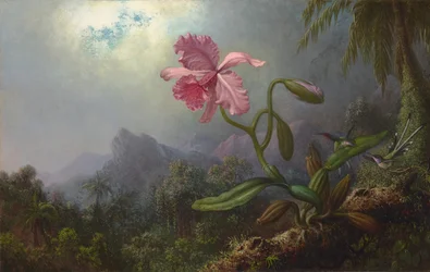Dva kolibříci s orchidejí 1875 (olej na plátně)