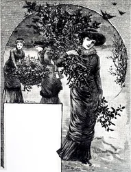 Rytina zobrazující sbírku cesmíny a jehličnatého stromu pro vánoční výzdobu. Ilustrovala Mary Ellen Edwards (1838-1934), anglická umělkyně a ilustrátorka dětských knih.