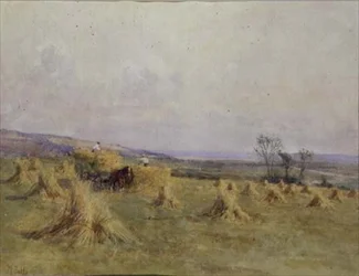 Sklizeň u moře, Norfolk