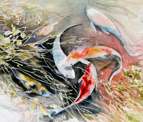 tkaní ryb