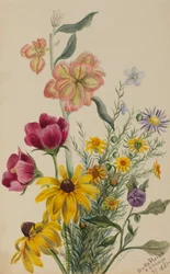 Skupina květin, 1881.