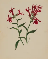 Bez názvu - Květinová studie, 1876.