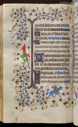 Hodiny Karla Šlechetného, navarrského krále (1361-1425): fol. 171v, Text