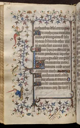 Hodiny Karla Šlechetného, navarrského krále (1361-1425): fol. 75v, Text