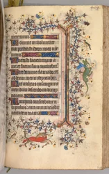 Hodiny Karla Vznešeného, krále navarrského 1361-1425: fol. 229r, Text, c. 1405.