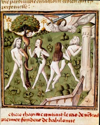 Adam a Eva sbírají obraněnou miniaturu ovoce Mistra šampiona dam (15. století) z rukopisu „Des hommes illustres““ od Giovanniho Boccaccia (Jean Boccaccio) (1313-1375). 15. století. Carpentras. Inguimbertinská knihovna