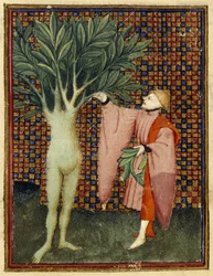 Apollo a Daphne